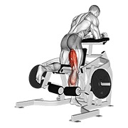 ท่า Lever Kneeling Leg Curl