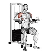 ท่า Lever Lateral Raise