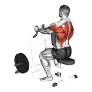 ท่า Lever Narrow Grip Seated Row