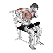ท่า Lever Overhand Triceps Dip