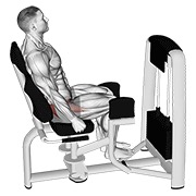 ท่า Lever Seated Hip Abduction