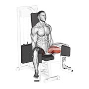 ท่า Lever Seated Hip Adduction