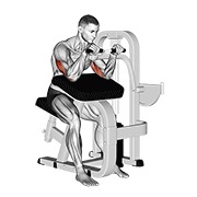 ท่า Lever Triceps Extension