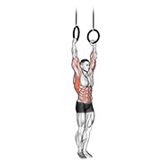 ท่า Muscle Up