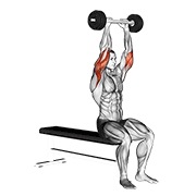 ท่า Olympic Barbell Triceps Extension