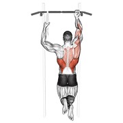 ท่า One Arm Chin-up
