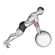 ท่า Push-up (on Stability Ball)