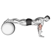 ท่า Push-up (on Stability Ball)