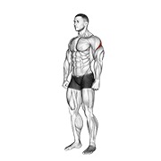 ท่า Rear Deltoid Stretch