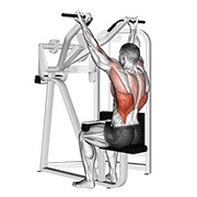 ท่า Reverse Grip Machine Lat Pulldown