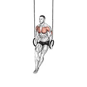 ท่า Ring Dips