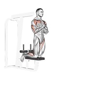 ท่า Self Assisted Inverse Leg Curl