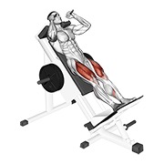 ท่า Sled Hack Squat