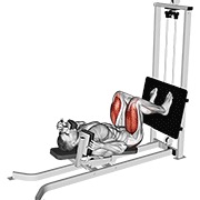 ท่า Sled Lying Squat