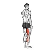 ท่า Standing Single Leg Curl