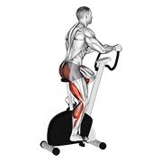 ท่า Stationary Bike Walk