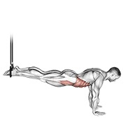ท่า Suspended Reverse Crunch