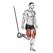 ท่า Suspended Split Squat