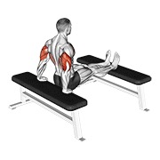 ท่า Triceps Dip (bench Leg)