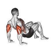 ท่า Triceps Dips Floor