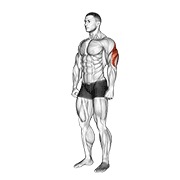 ท่า Triceps Stretch