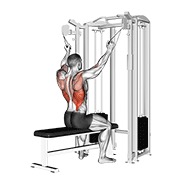 ท่า Twin Handle Parallel Grip Lat Pulldown