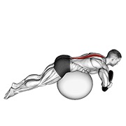 ท่า Weighted Hyperextension (on Stability Ball)