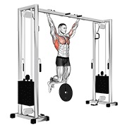 ท่า Weighted Pull-up