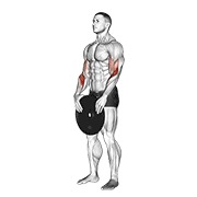 ท่า Weighted Standing Curl
