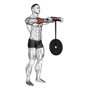 ท่า Wrist Rollerer