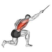 ท่า Band Kneeling One Arm Pulldown