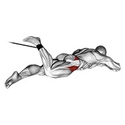 ท่า Band Lying Hip Internal Rotation