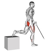 ท่า Band One Arm Single Leg Split Squat