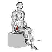ท่า Band Seated Hip Internal Rotation