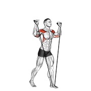 ท่า Band Shoulder Press
