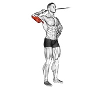 ท่า Band Side Triceps Extension