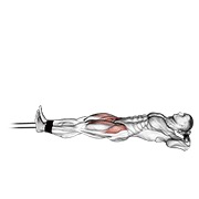 ท่า Band Lying Straight Leg Raise