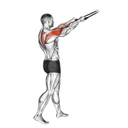 ท่า Band Standing Rear Delt Row