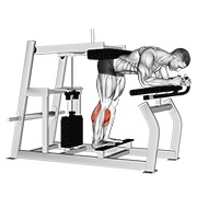 ท่า Lever Donkey Calf Raise