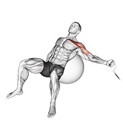 ท่า Cable One Arm Incline Fly On Exercise Ball