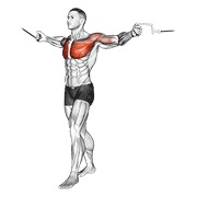 ท่า Cable Standing Up Straight Crossovers