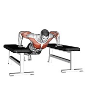 ท่า Drop Push Up