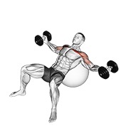 ท่า Dumbbell Incline Fly On Exercise Ball