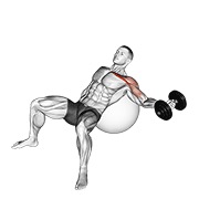 ท่า Dumbbell Incline One Arm Fly On Exercise Ball