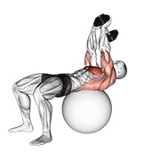 ท่า Dumbbell Lying Pullover On Exercise Ball