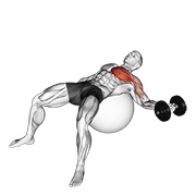 ท่า Dumbbell One Arm Chest Fly On Exercise Ball