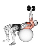 ท่า Dumbbell One Arm Pullover On Exercise Ball