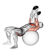 ท่า Dumbbell Pullover Hip Extension On Exercise Ball
