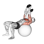 ท่า Dumbbell Pullover On Exercise Ball