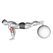 ท่า Exercise Ball Pike Push Up